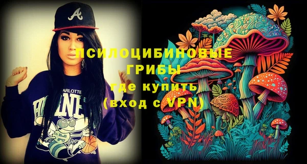 стафф Алзамай