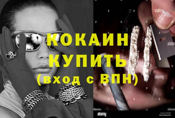 стафф Алзамай