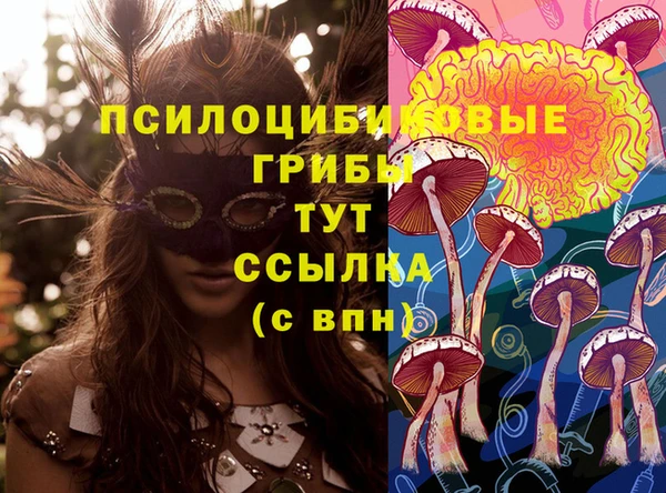 метадон Алексин