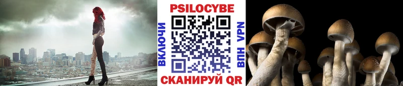 Купить закладки  Радужный  Псилоцибиновые грибы прущие грибы 